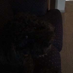 Meet your Posher, Becky